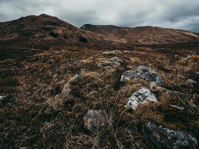 Picture of Scotland's Whisky Regions